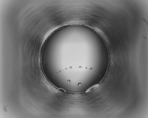 X0000102811288200808181215