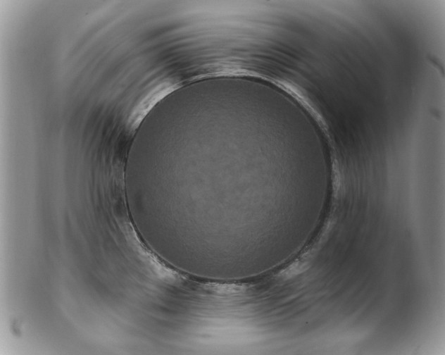 X0000102811289200808181215