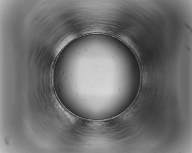 X0000102811290200808181215