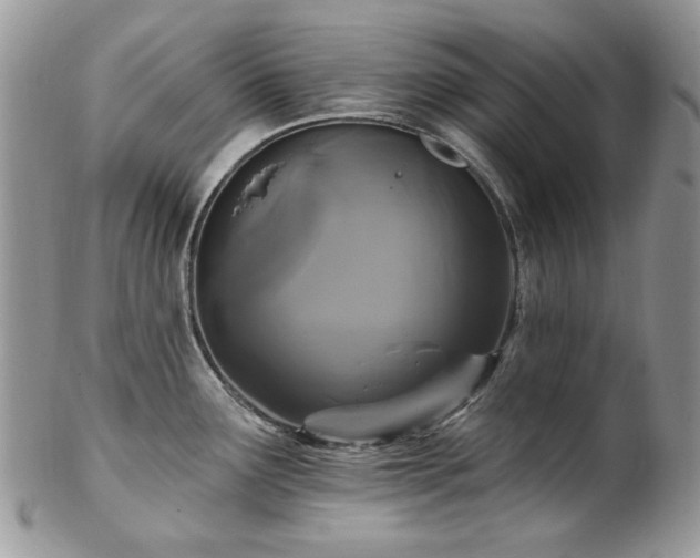 X0000102811291200808181215