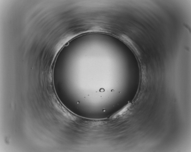 X0000102811292200808181215