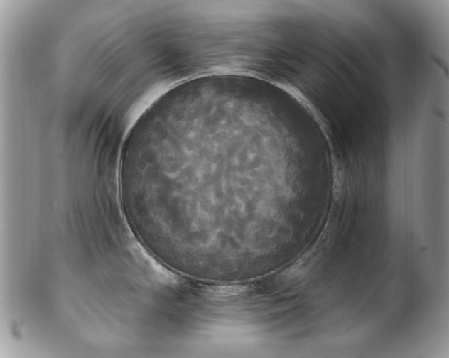 X0000102811294200808181214