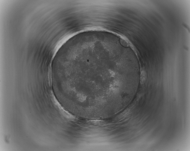 X0000102811295200808181214