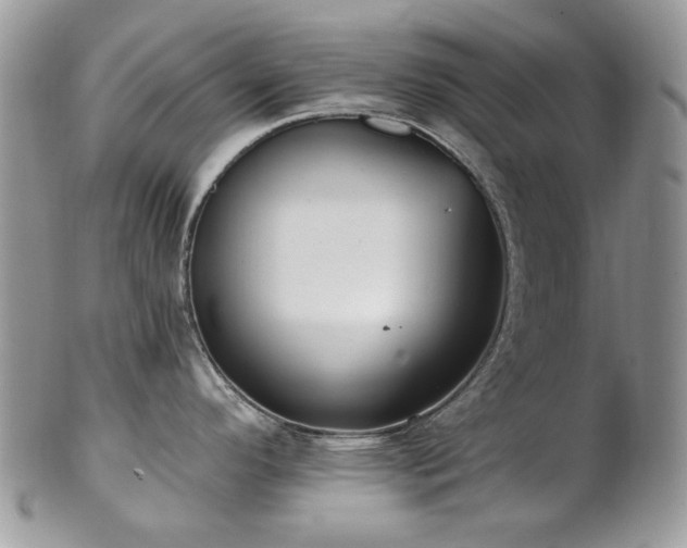 X0000102811296200808181214