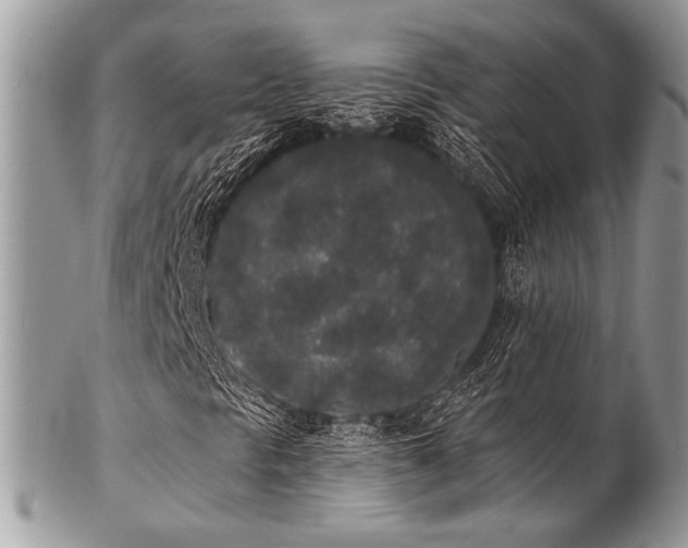 X0000102811297200808181214