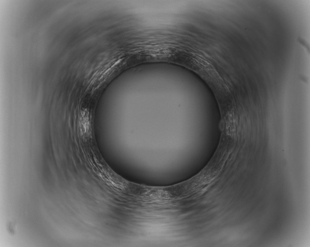 X0000102811298200808181214