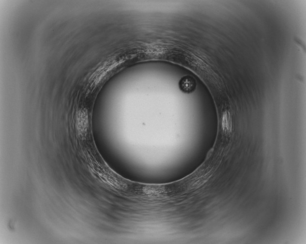 X0000102811299200808181214