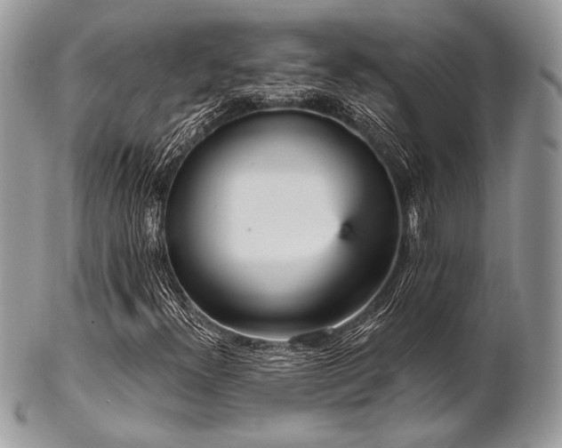 X0000102811300200808181214