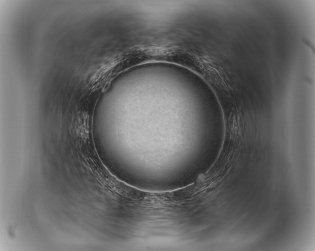 X0000102811301200808181214