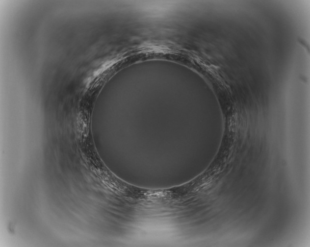 X0000102811303200808181214