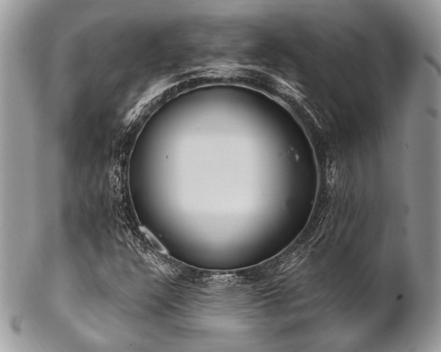 X0000102811304200808181214