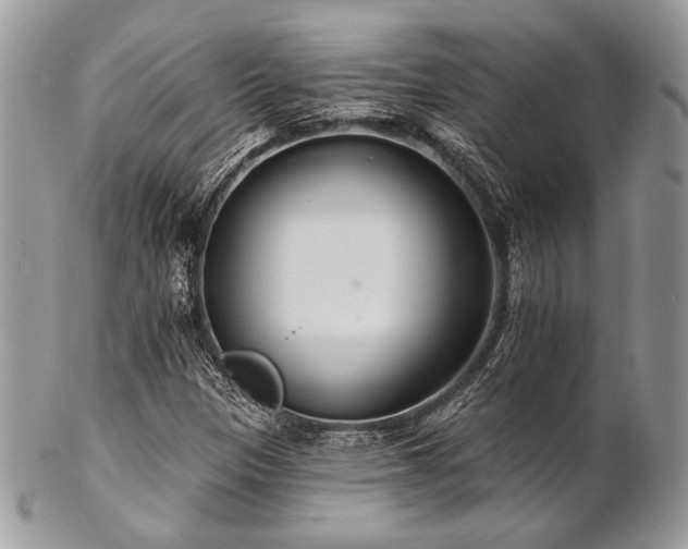 X0000102811305200808181214