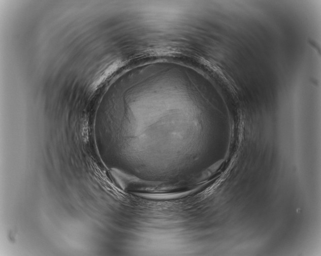 X0000102811306200808181214