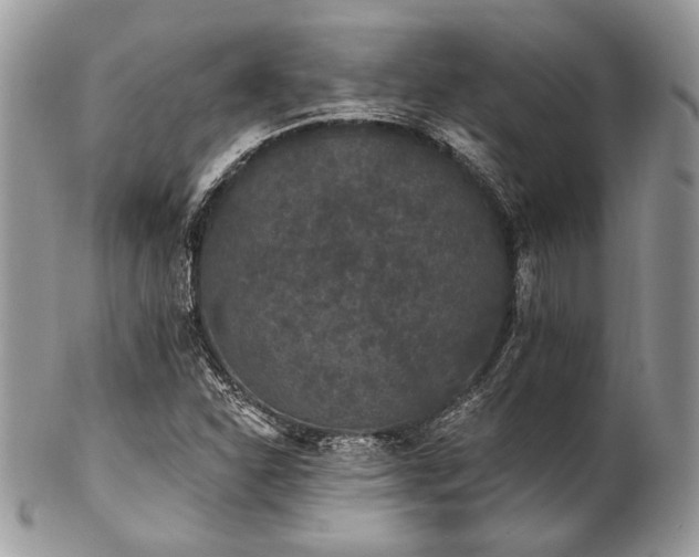 X0000102811310200808181214