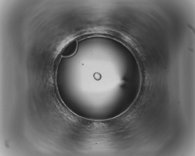 X0000102811312200808181214