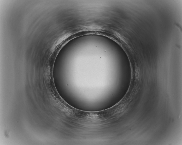 X0000102811315200808181214