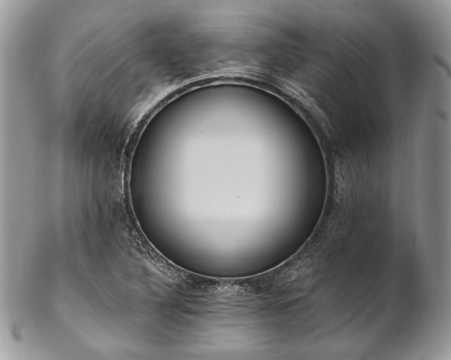 X0000102811316200808181214