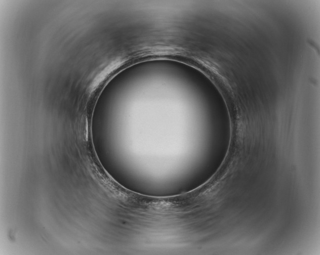 X0000102811317200808181214