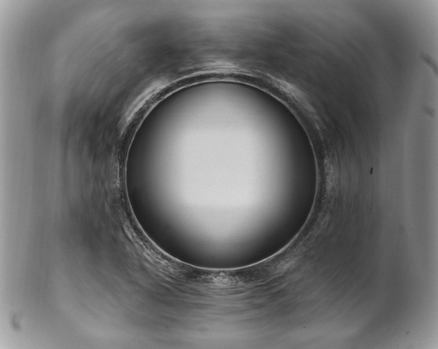 X0000102811318200808181214