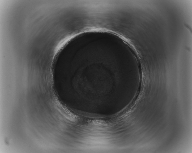 X0000102811319200808181214