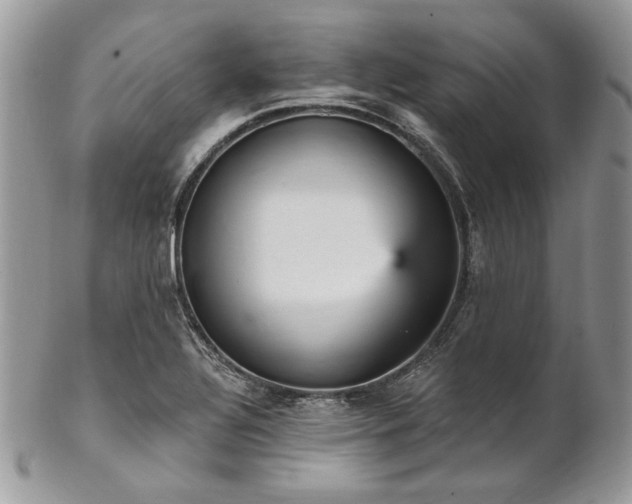 X0000102811320200808181214