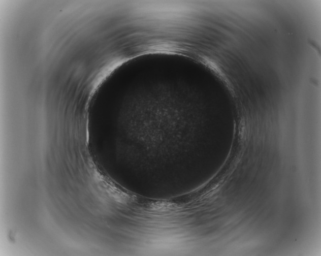 X0000102811323200808181214