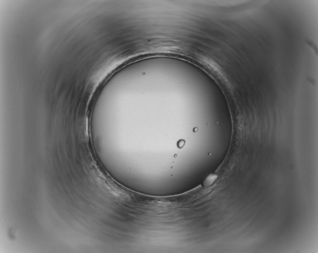 X0000102811324200808181214