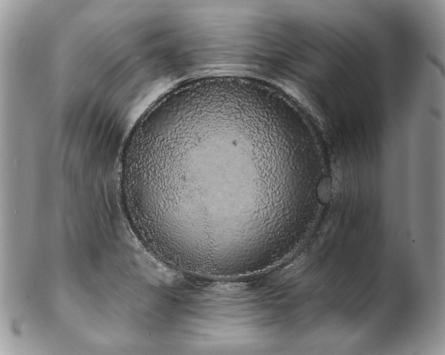 X0000102811325200808181214