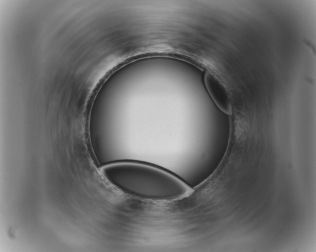 X0000102811326200808181214