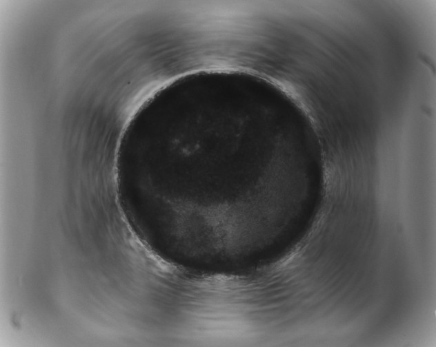 X0000102811327200808181214