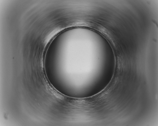 X0000102811328200808181214