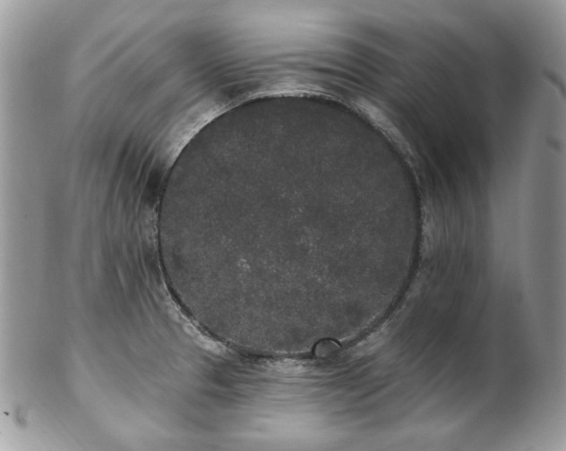 X0000102811329200808181214