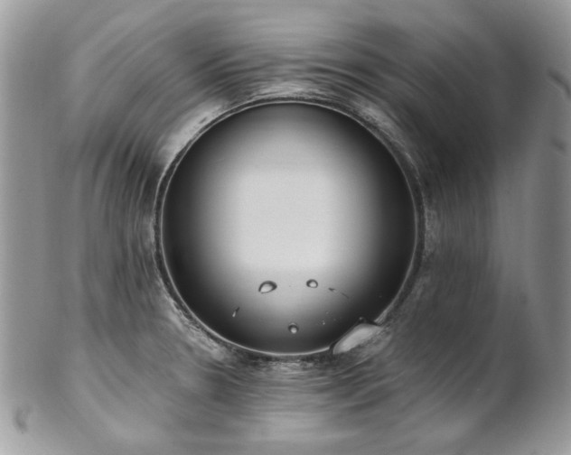 X0000102811330200808181214