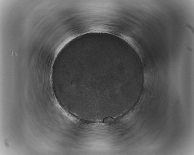 X0000102811331200808181214