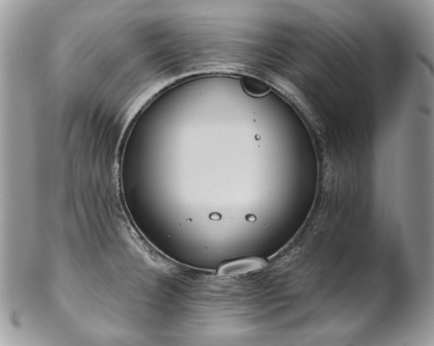 X0000102811332200808181214