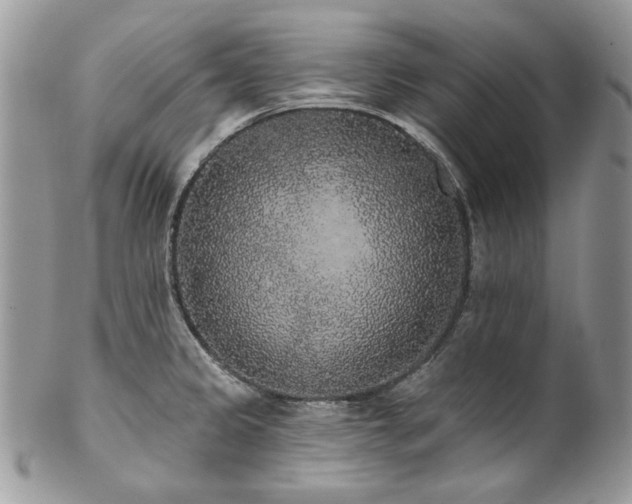 X0000102811333200808181214