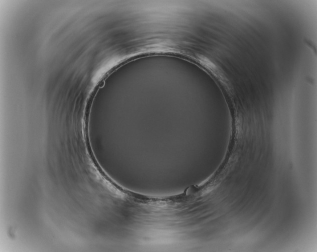 X0000102811334200808181214