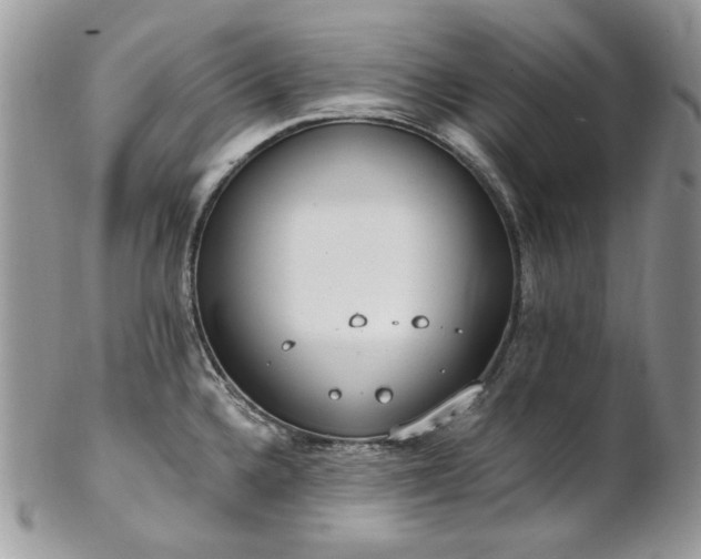 X0000102811336200808181214