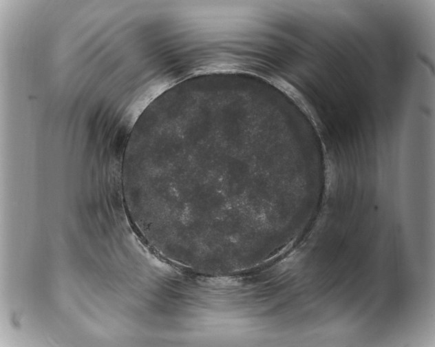 X0000102811337200808181214