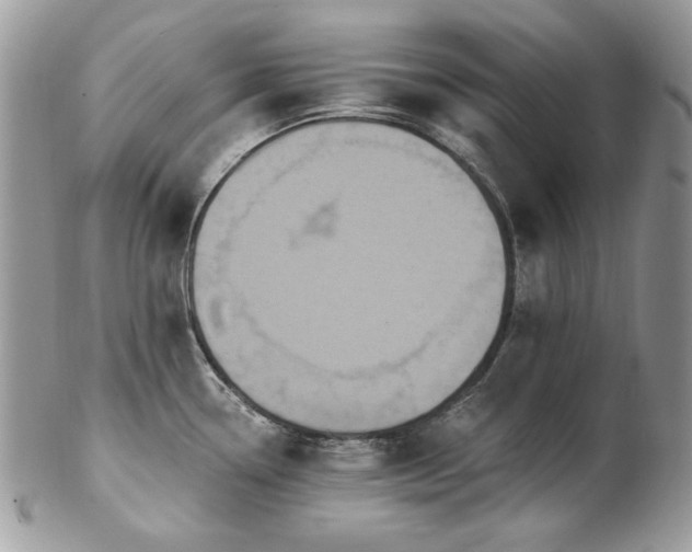 X0000102811338200808181214