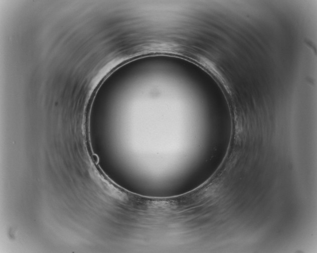 X0000102811339200808181214