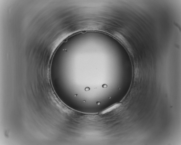 X0000102811340200808181214