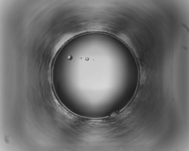 X0000102811342200808181214