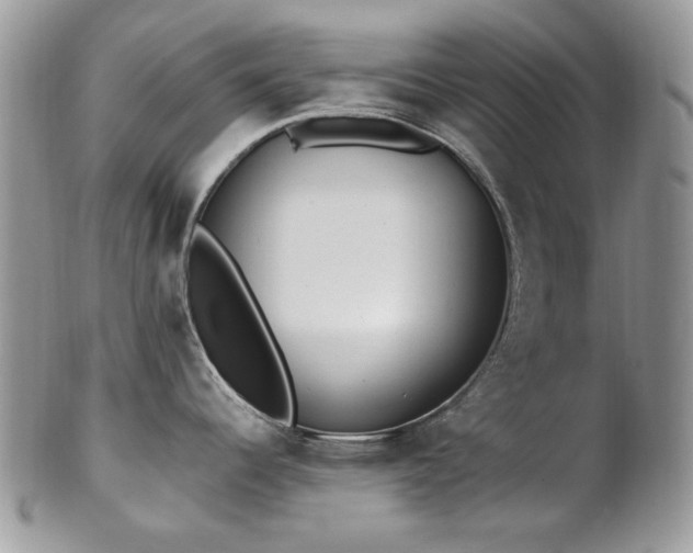 X0000102811344200808181214