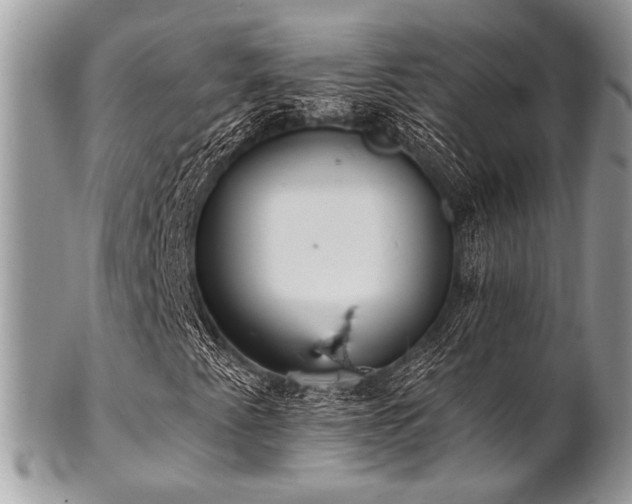 X0000102811345200808181214