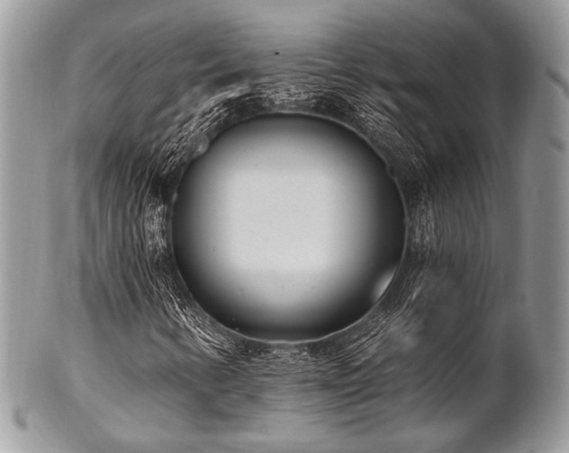 X0000102811346200808181214