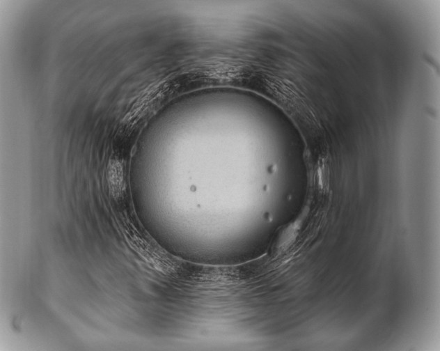 X0000102811347200808181214