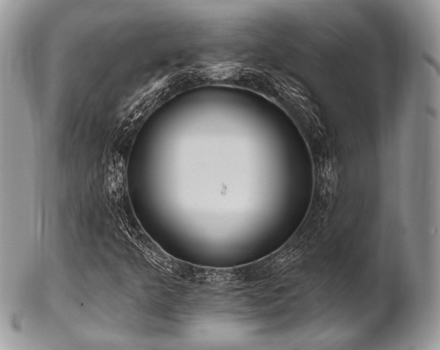 X0000102811349200808181214