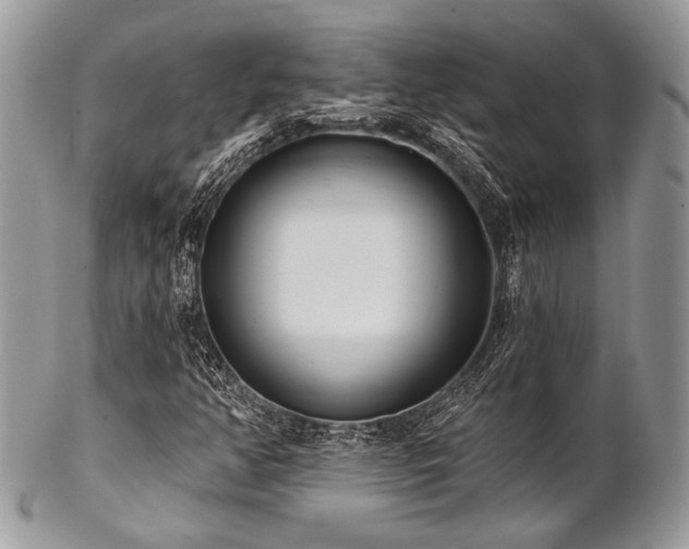 X0000102811350200808181214