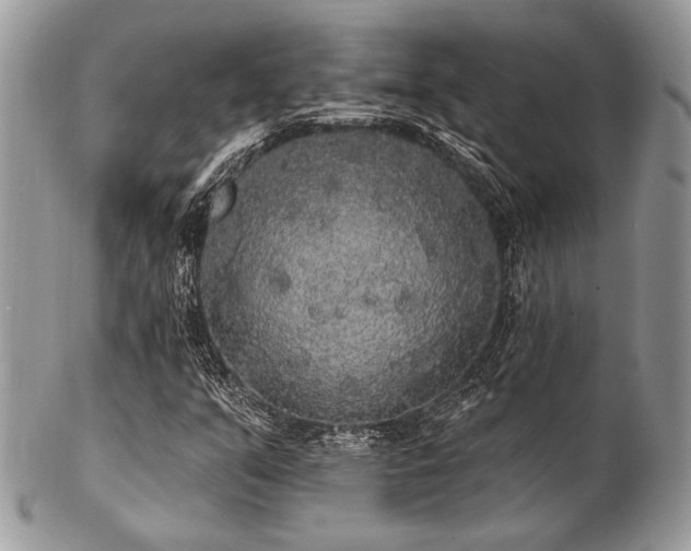 X0000102811351200808181214